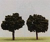 Acacia - Misura 7 (Conf. da 2 pezzi)